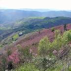 DSCN9007