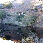 DSCN6476
