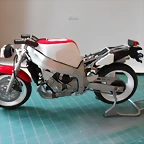 DSCN4294