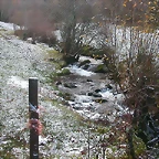 DSCN4807