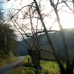 DSCN2545