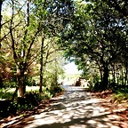 DSCN2301