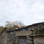 DSCN9365