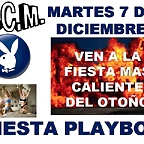 fiesta playboy2