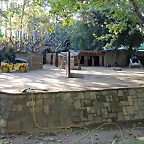 Zoo de Barcelona 14-09-11 511