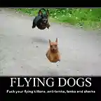 406-flying-dogs-fuck-your-flying-kittens-tanks-and-sharks