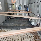 IMG_20250606_162206