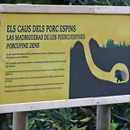 Zoo de Barcelona 26-09-11 512