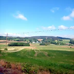 DSCN6163