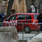 Zoo de Barcelona 15-02-11 281