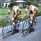 GIRO 1980,ETA,SONDRIO