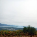 DSCN0145
