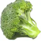 brocoli-bueno-a-la-salud