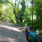 DSCN6938