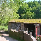 DSCN6926