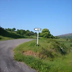 DSCN6944