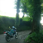 DSCN6941