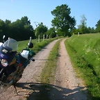 DSCN6982