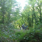 DSCN6985