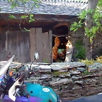 DSCN7001