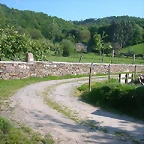 DSCN6920