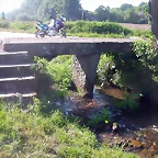 DSCN6919