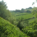 DSCN6947