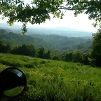 DSCN6980