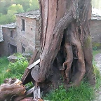 DSCN7015