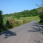 DSCN6917