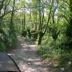 DSCN6930