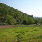 DSCN6946