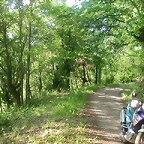 DSCN6978