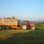 DSCN7040