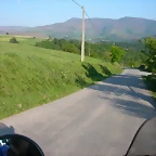 DSCN6993