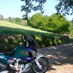 DSCN6935