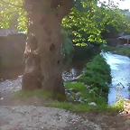 DSCN7005