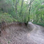 DSCN6986