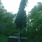 DSCN7028