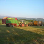DSCN7041