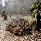 DSCN2968