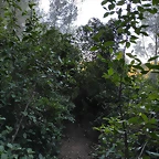 IMG_20210106_163520