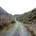 DSCN4010