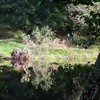 DSCN5292