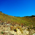 DSCN0883