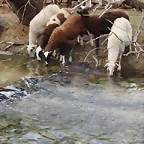 Image00007