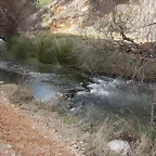 Image00005