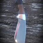 20190410_150228