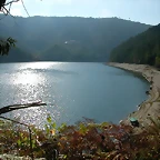 DSCN7539