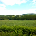 DSCN5247